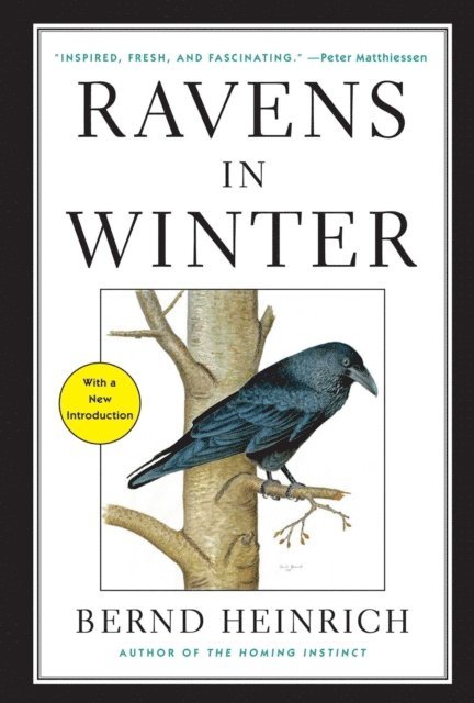 Bernd Heinrich - Ravens in Winter, E-bok