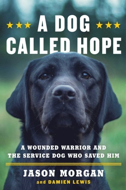 Damien Lewis, Jason Morgan - Dog Called Hope, E-bok. Tillgänglighet: Lägg i varukorg
