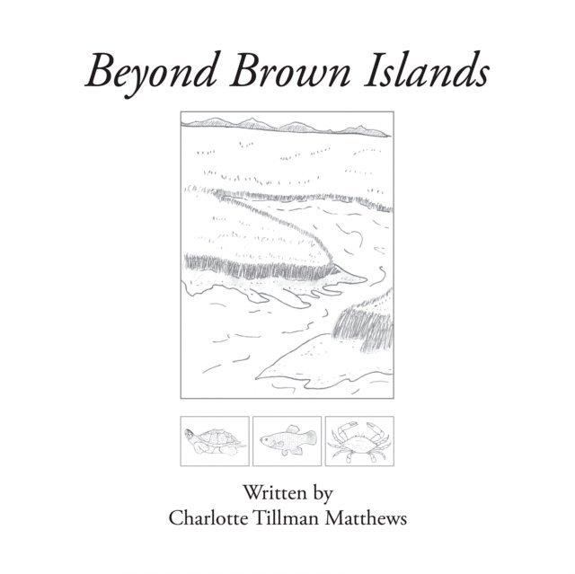 Charlotte Tillman Matthews - Beyond Brown Islands, E-bok
