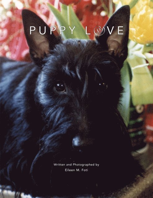Eileen M. Foti - Puppy Love, E-bok
