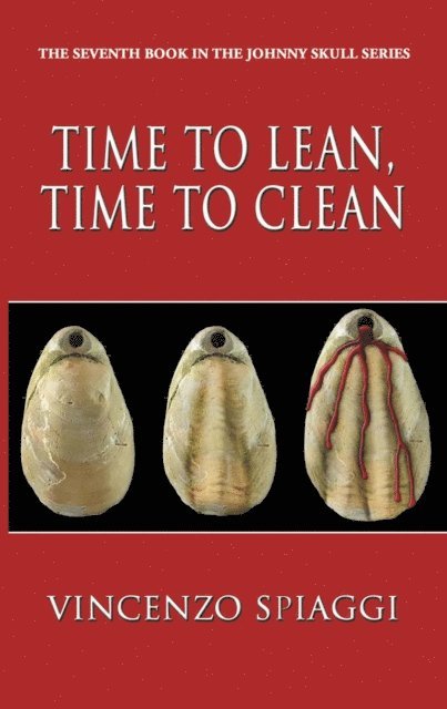 Vincenzo Spiaggi - Time to Lean, Time to Clean, E-bok