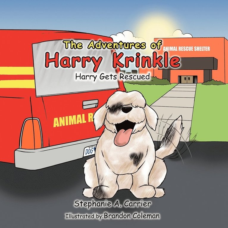 Stephanie A Carrier - Adventures of Harry Krinkle, Häftad