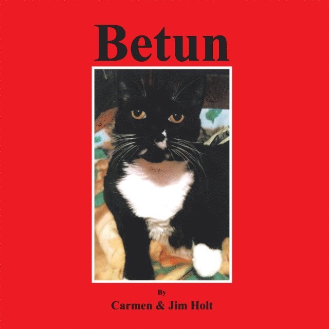 Carmen - Betun, E-bok