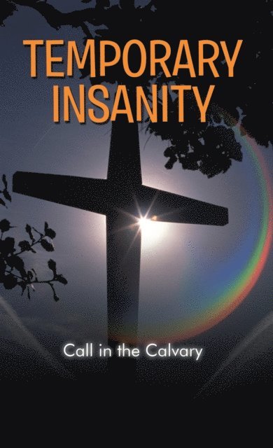 George Clark - Temporary Insanity, E-bok