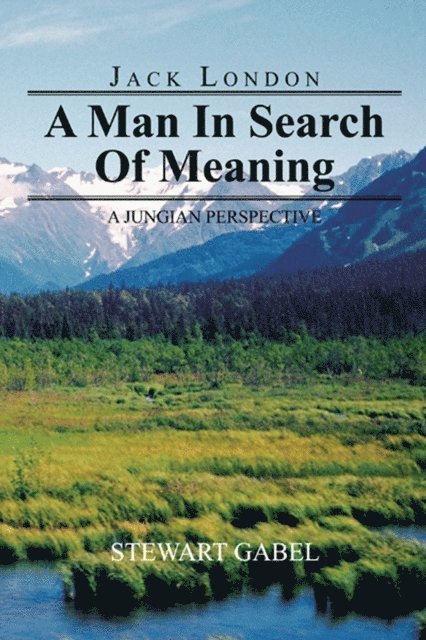 Stewart Gabel - Jack London: a Man in Search of Meaning, E-bok