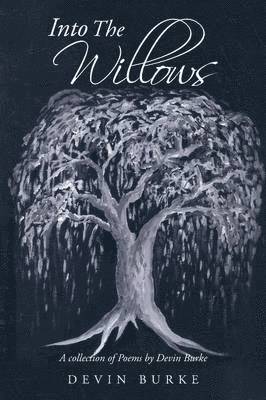Devin Burke - Into The Willows, Häftad. Tillgänglighet: Lägg i varukorg