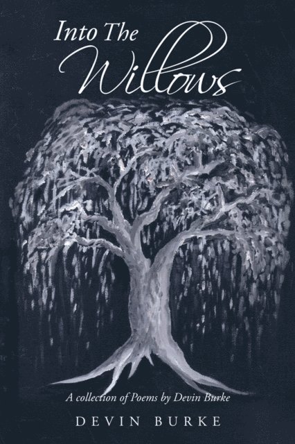 Devin Burke - Into the Willows, E-bok. Tillgänglighet: Lägg i varukorg