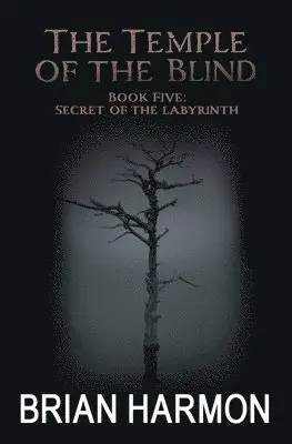 Brian Harmon - Secret of the Labyrinth, Häftad. Tillgänglighet: Lägg i varukorg