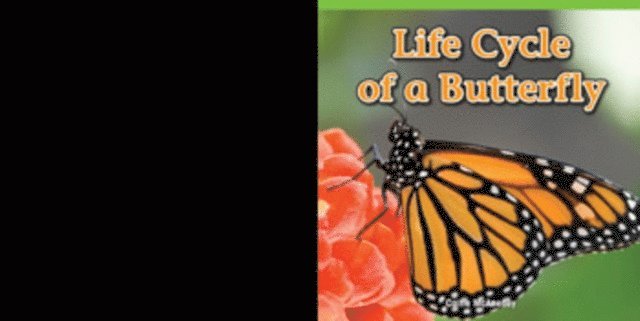 Caitie McAneney - Life Cycle of a Butterfly, E-bok. Tillgänglighet: Lägg i varukorg