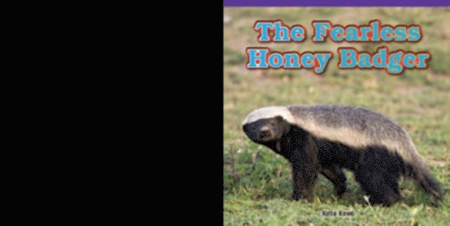 Fearless Honey Badger