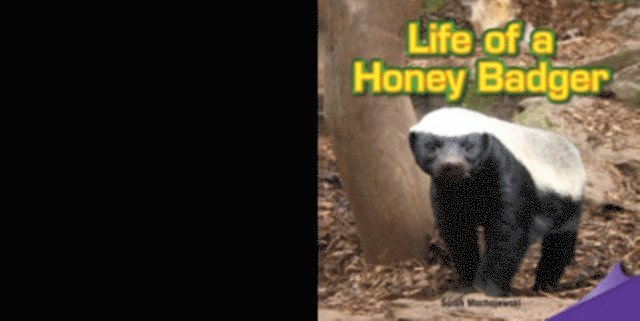 Sarah Machajewski - Life of a Honey Badger, E-bok