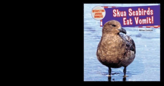 Skua Seabirds Eat Vomit!