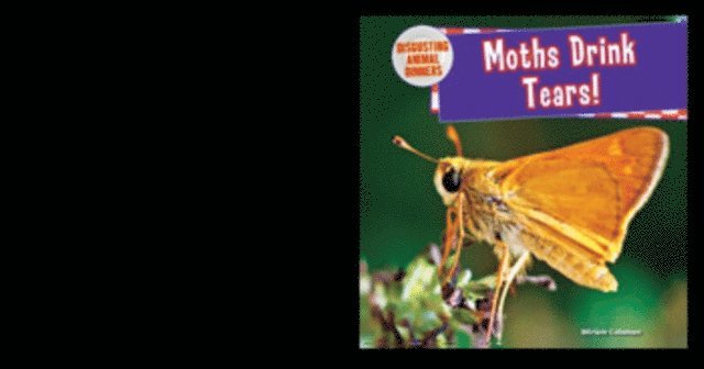 Moths Drink Tears!