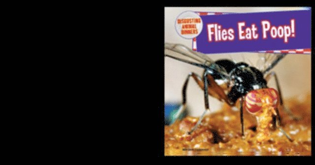 Flies Eat Poop!