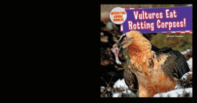 Vultures Eat Rotting Corpses!