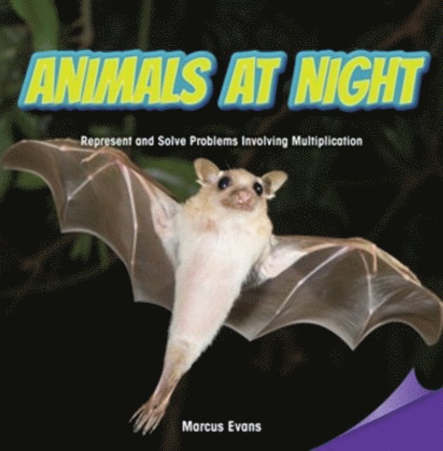 Marcus Evans - Animals at Night, E-bok
