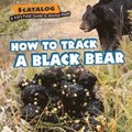 How to Track a Black Bear
