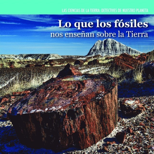 Lo que los fósiles nos enseñan sobre la Tierra (Investigating Fossils)