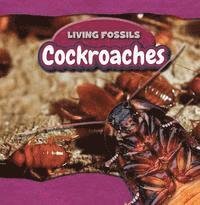 Sarah Machajewski - Cockroaches, Häftad
