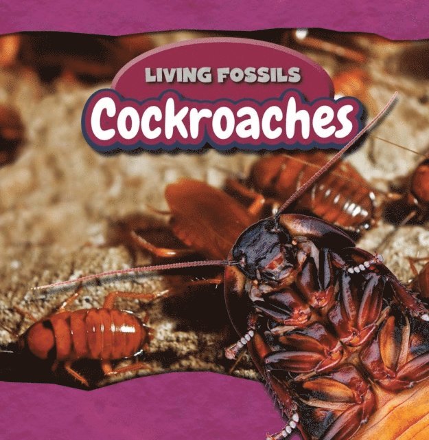 Sarah Machajewski - Cockroaches, E-bok