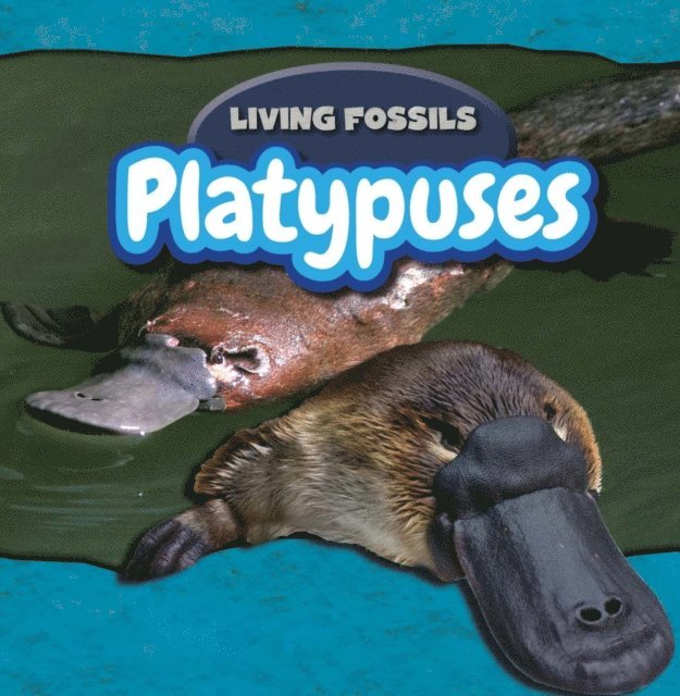 Caitie McAneney - Platypuses, E-bok. Tillgänglighet: Lägg i varukorg