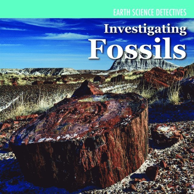 Investigating Fossils
