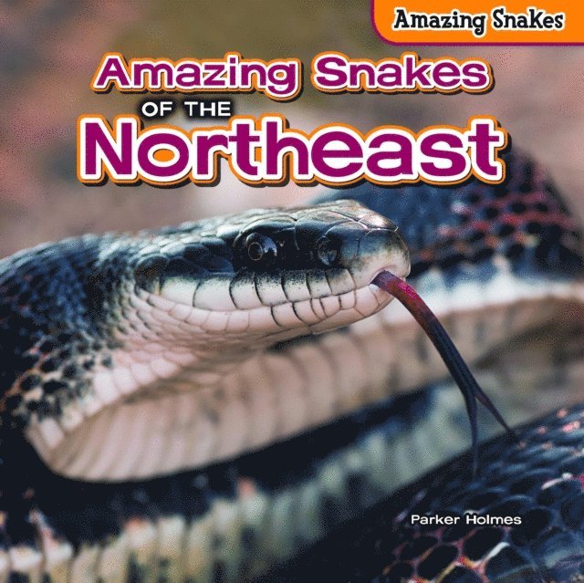 Parker Holmes - Amazing Snakes of the Northeast, E-bok. Tillgänglighet: Lägg i varukorg