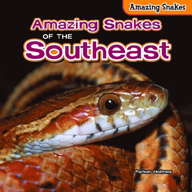 Parker Holmes - Amazing Snakes of the Southeast, E-bok. Tillgänglighet: Lägg i varukorg