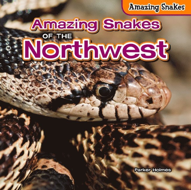 Parker Holmes - Amazing Snakes of the Northwest, E-bok. Tillgänglighet: Lägg i varukorg