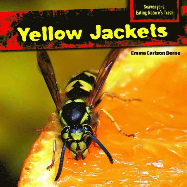 Emma Carlson Berne - Yellow Jackets, E-bok