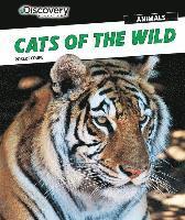 Robert Coupe - Cats of the Wild, Häftad. Tillgänglighet: Lägg i varukorg