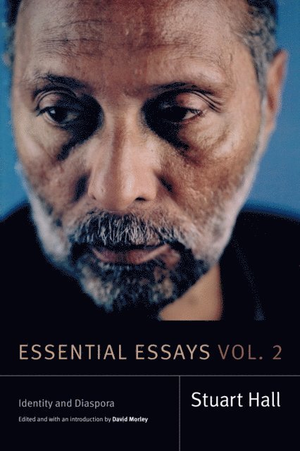 Stuart Hall, David Morley - Essential Essays, Volume 2, E-bok