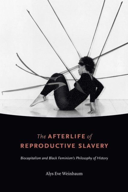 Alys Eve Weinbaum - Afterlife of Reproductive Slavery, E-bok