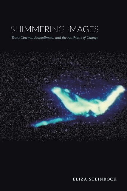 Eliza Steinbock - Shimmering Images, E-bok