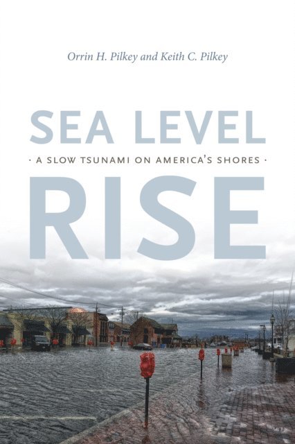 Keith C. Pilkey, Orrin H. Pilkey - Sea Level Rise, E-bok