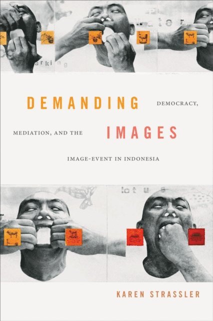 Karen Strassler - Demanding Images, E-bok