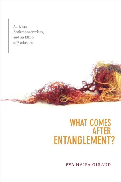 Eva Haifa Giraud - What Comes after Entanglement?, E-bok