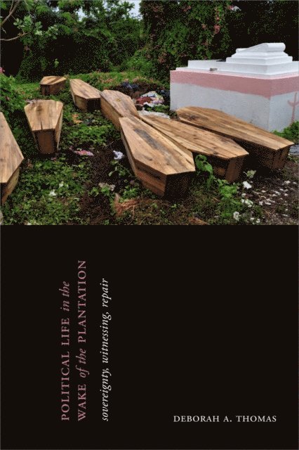 Deborah A. Thomas - Political Life in the Wake of the Plantation, E-bok