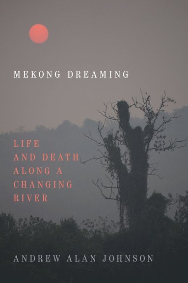 Mekong Dreaming av Andrew Alan Johnson