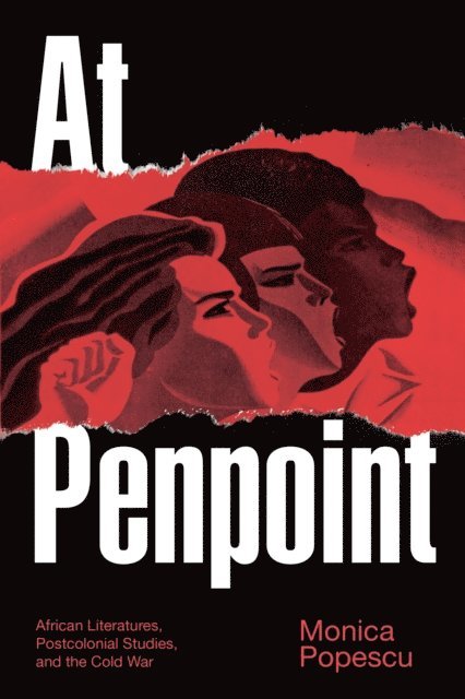 Monica Popescu - At Penpoint, E-bok