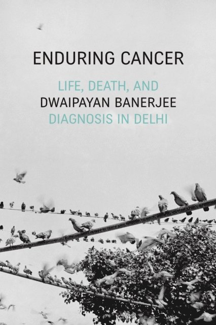 Dwaipayan Banerjee - Enduring Cancer, E-bok