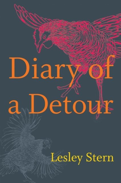 Lesley Stern - Diary of a Detour, E-bok