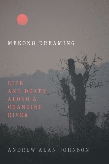 Andrew Alan Johnson - Mekong Dreaming, E-bok