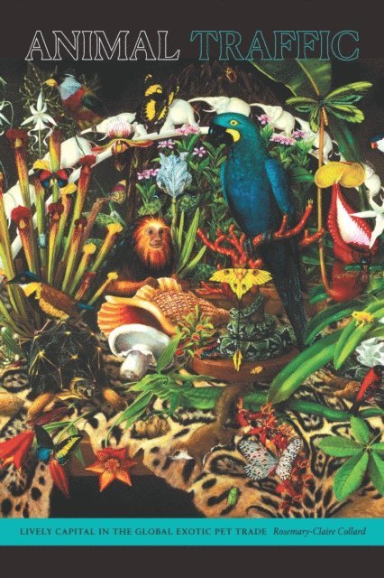 Rosemary-Claire Collard - Animal Traffic, E-bok
