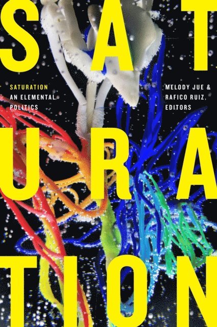 Rafico Ruiz, Melody Jue - Saturation, E-bok