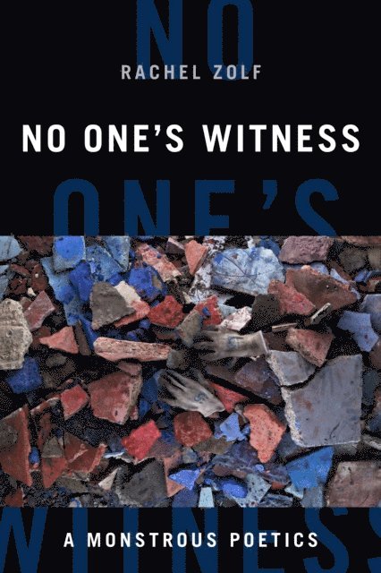 Syd Zolf - No One's Witness, E-bok