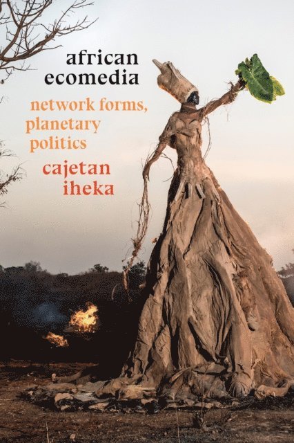 Cajetan Iheka - African Ecomedia, E-bok
