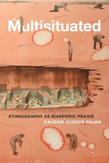 Kaushik Sunder Rajan - Multisituated, E-bok