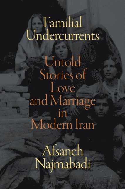 Afsaneh Najmabadi - Familial Undercurrents, E-bok
