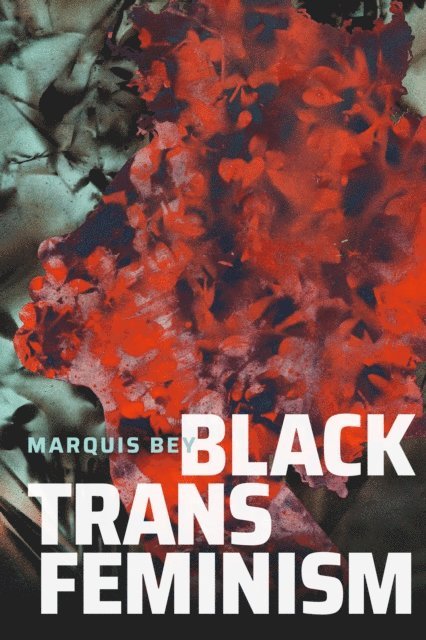 Marquis Bey - Black Trans Feminism, E-bok